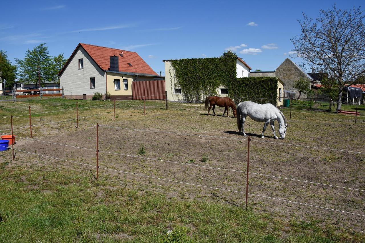 Barrierefreie Ferienwohnung Trueben Bornum Exterior foto